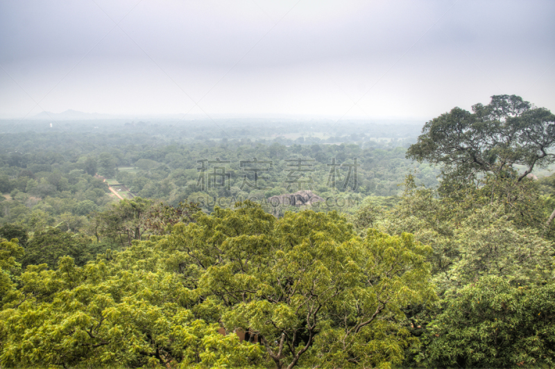 锡吉里耶,热带雨林,斯里兰卡,在上面,风景,自然,天空,水平画幅,地形,宫殿