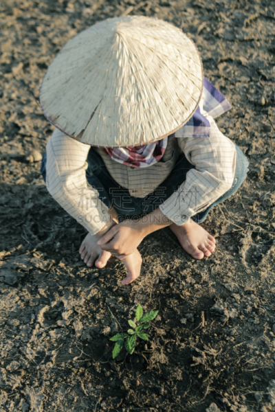 女人,概念,陆地,森林,树,恢复,希望,种植