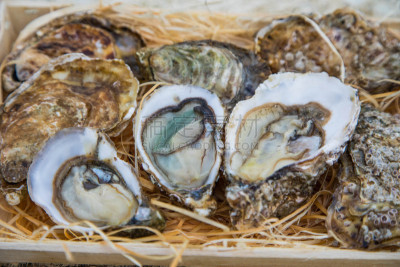鸵鸟,自然,生食,海产,制片人,法国,食品,图像,饲养员,海洋