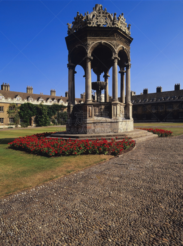 大学,圣三一学院,剑桥大学,英国剑桥,垂直画幅,纪念碑,英格兰,要塞,过去,建筑业