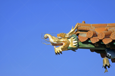 特写,龙,雕塑,动物头,镀金的,寺庙,纪念碑,天空,古董,艺术