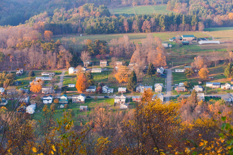 秋天,城镇,阿勒格尼州立公园,阿勒格尼河,阿勒格尼山脉,宾夕法尼亚,枝繁叶茂,明亮,彩色图片,松科