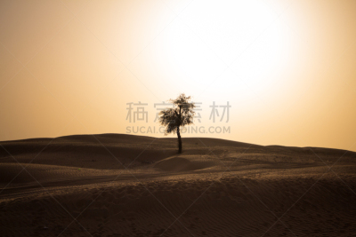 沙漠,天空,美,水平画幅,无人,户外,迪拜,运动,植物,山