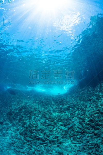 水下,阳光光束,海洋,垂直画幅,在下面,水,天空,水肺潜水,动物内脏,平视角