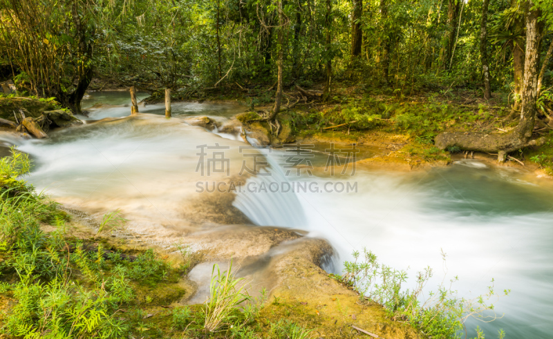 恰帕斯州,agua azul cascades,水,水平画幅,枝繁叶茂,瀑布,无人,热带雨林,户外,干净