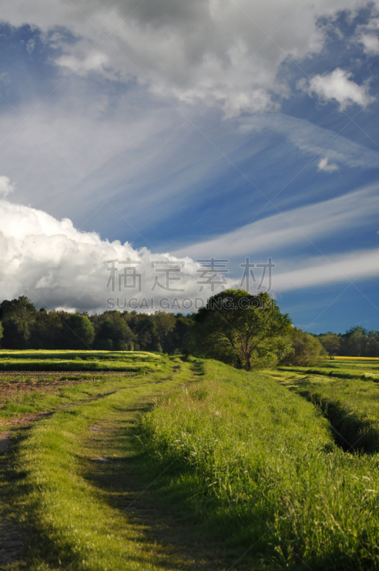 小路,地形,垂直画幅,天空,无人,Stajerska,户外,草,云景,生长