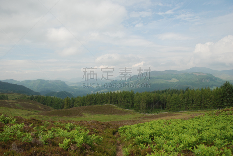 山,石南花,水平画幅,无人,苏格兰高地,苏格兰,蕨类,皮特洛赫里,摄影