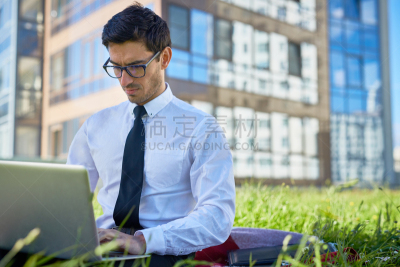 领导能力,经济学家,设计室,偏远的,网上冲浪,忙碌,草坪,电子商务,草,男商人