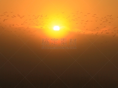 宫城县,izunuma,黎明,地形,户外,季节,秋天,冬天,著名自然景观,自然美