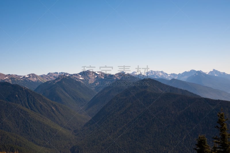 飓风山脊,奥林匹克国家公园,奥林匹克山,自然,公园,草地,水平画幅,绿色,地形,山