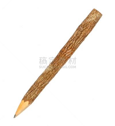 枝,铅笔,白色背景,垂直画幅,动物围栏,绘画插图,荆棘,尖利,指甲锉,白色
