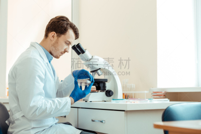 男人,认真的,皮氏培养皿,智慧,拿着,成年的,青年人,络腮胡子,室内