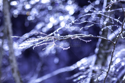 冬天,雪,日本,安静,云,深雪,木制,晴朗,长野城,白色