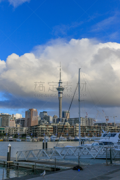游艇码头,高架桥,水槽,奥克兰,垂直画幅,水,天空,云,天空塔,无人