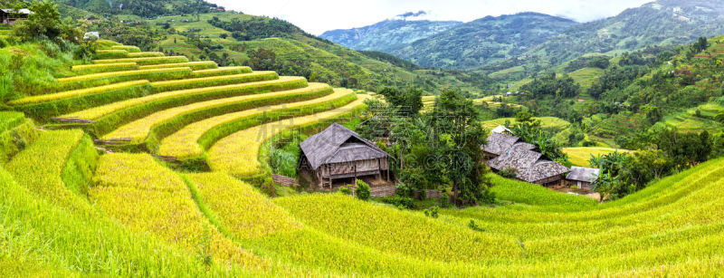 梯田,山,房屋,水稻梯田,桂林,灌溉设备,高视角,纹理效果,枝繁叶茂,智慧