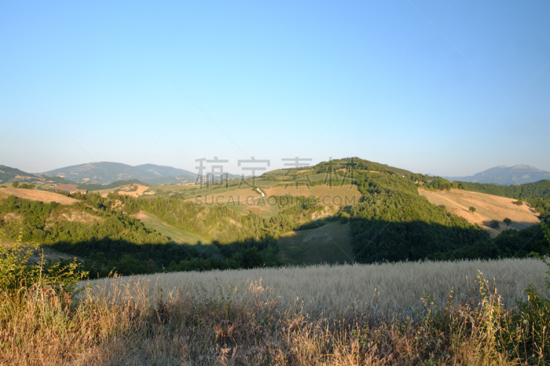 乌比诺,蒙泰费尔特罗,地形,意大利,马尔凯大区,水平画幅,山,无人,夏天,户外