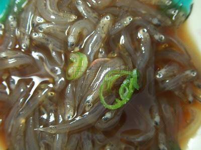 银鱼,日本,汤,鱼类,人老心不老,酱油,饮食,水平画幅,海产,幼小动物