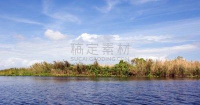 圣约翰河,佛罗里达,图像,奥兰多,水,天空,留白,水平画幅,无人,沼泽