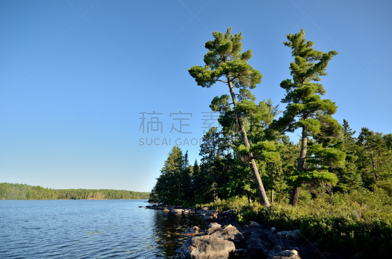 湖,自然荒野区,风景,boundary waters canoe area,雪松,明尼苏达,水,天空,留白,水平画幅