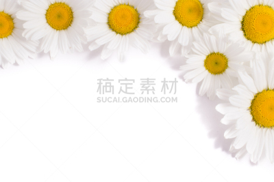 边框,甘菊花,8日,甘菊,洋甘菊茶,雏菊,吸液管,胶囊,母亲节,贺卡