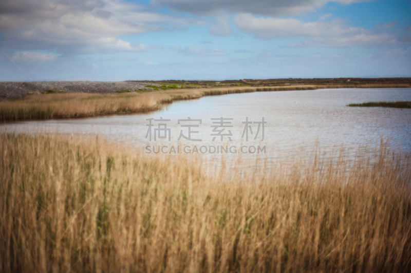 草,干的,自然,水,天空,干草,水平画幅,地形,无人,蓝色