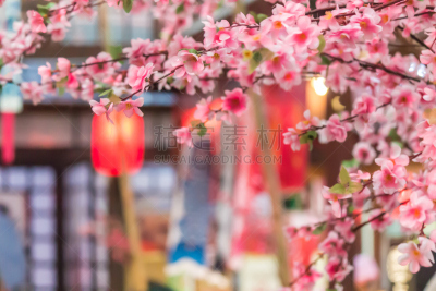 七夕节,仙台,平塚市,纸灯笼,灯笼,浪漫,杆,日本人,樱花,幸福