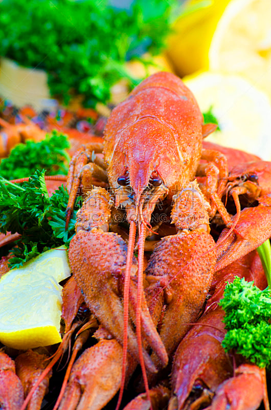 红色,食品,煮食,螯虾,垂直画幅,无脊椎动物,海产,香料,肉,触须