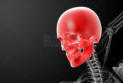 x光,头骨,三维图形,健康保健,背景分离,药,人类骨架,颧骨,人的牙齿,x光片