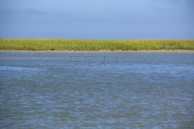 马萨诸塞,柯德角,沼泽,草类,盐湖,海湾,运动,新英格兰,东汉姆,环境