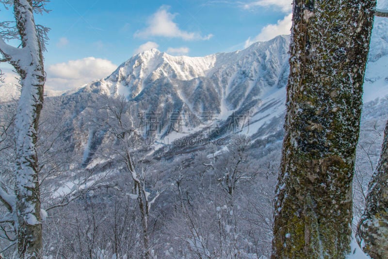 风景,冬天,山,daisen,鸟取,高尔夫球场,活力,风险,安静,山脊