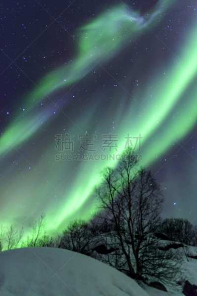 北极光,挪威, 罗弗敦群岛 ,在上面,垂直画幅,天空,灵性,星星,夜晚,无人