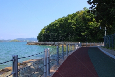 海岸地形,coogee,韩国,小路,伯利海滩,波浪,岩石,水湾,夏天,户外