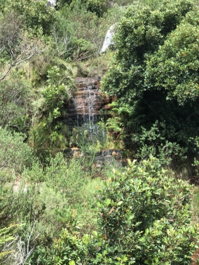 南非桌山,视角,西开普省,十二门徒岩,大西洋,色彩鲜艳,著名景点,自然美,户外,高处