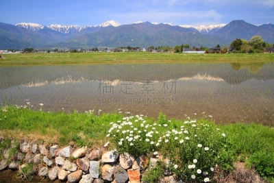 稻田,水,里山,水平画幅,郊区,雪,长野县,无人,日本阿尔卑斯山脉,纯净