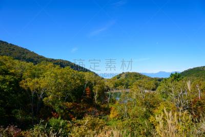 秋天,长野县,日本,滋贺县,苏格兰高地,山之内町,山之内,自然,美,水平画幅