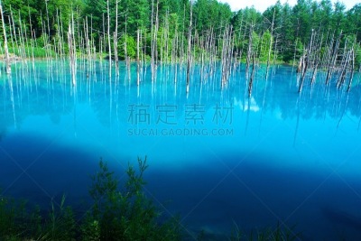 蓝色,池塘,弟子屈,旭岳火山,美瑛町,北海道中部,观测点,天空,里山,水平画幅