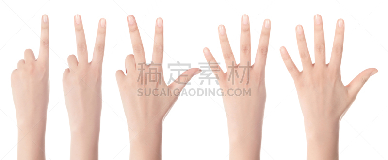 数,手,女人,想法,伸出食指,一个物体,四个物体,概念,做计划
