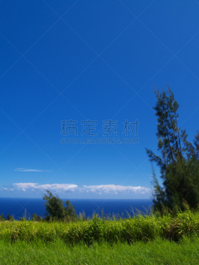 天空,草地,蓝色,威毕欧山谷,哈玛库亚海岸,垂直画幅,无人,户外,草,夏威夷大岛