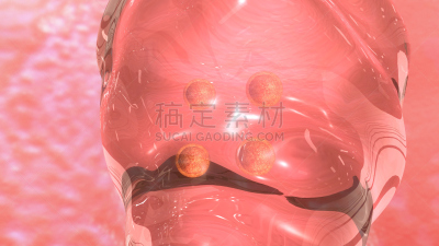 胚胎,女人,水平画幅,枝繁叶茂,绘画插图,人,科学,健康保健,实验室