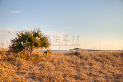 大西洋,自然,海岸地形,水,天空,滨草,休闲活动,水平画幅,沙子,无人