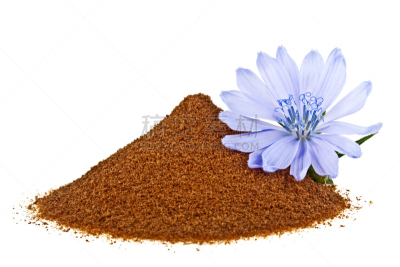 仅一朵花,菊苣,蓝色,白色背景,紧迫,分离着色,研磨食品,creeping bluet,褐色,咖啡生豆