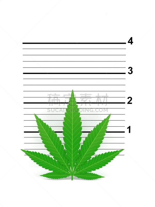 通缉照,叶子,白色背景,绿色,身份,禁止的,图像,背景分离,垂直画幅
