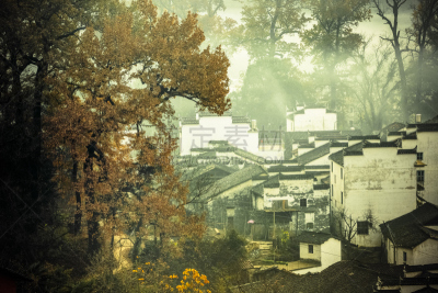 早晨,秋天,婺源,江西省,建筑檐口,水平画幅,墙,户外,庭院,建筑业