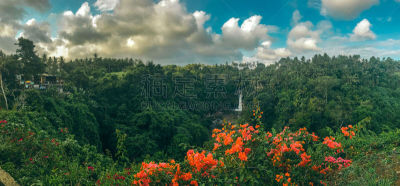 瀑布,热带雨林,地形,技能,在之间,国内著名景点,热带气候,水下落,枝繁叶茂,著名景点