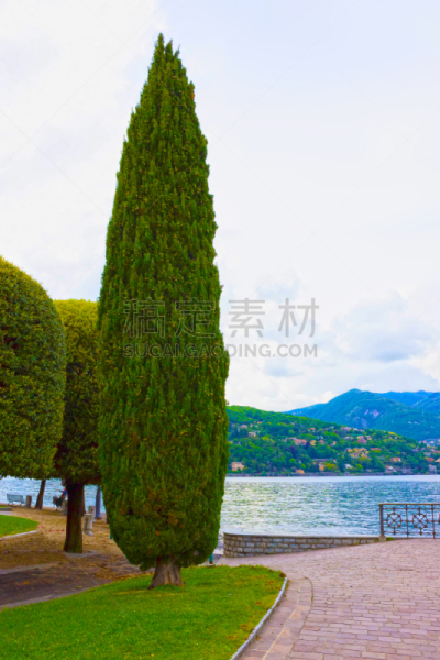意大利,科摩湖,贝拉吉奥,垂直画幅,水,天空,城镇景观,旅行者,夏天,湖