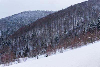 雪,杉树,滑雪坡,山,寒冷,旅途,运动,云,霜,云杉