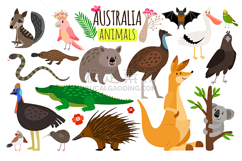 袋鼠,符号,澳大利亚文明,矢量,动物,澳大利亚,树袋熊,鸸鹋,袋熊,鸵鸟