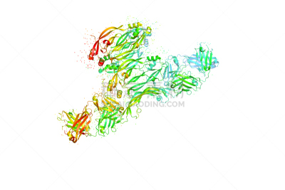 分子,蛋白质,肿瘤,距离标记,酸,健康保健,化学,生物化学,生物科技,癌症