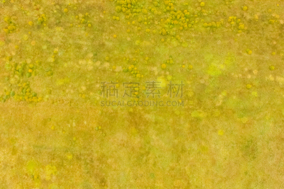 簇叶从生的,草,风景,田地,农业,草坪,清新,环境保护,海草,池塘