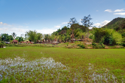 Tongkonan traditional village Kete Kesu